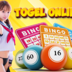 Guide to Choosing Online Lottery Numbers with a High Chance of Winning